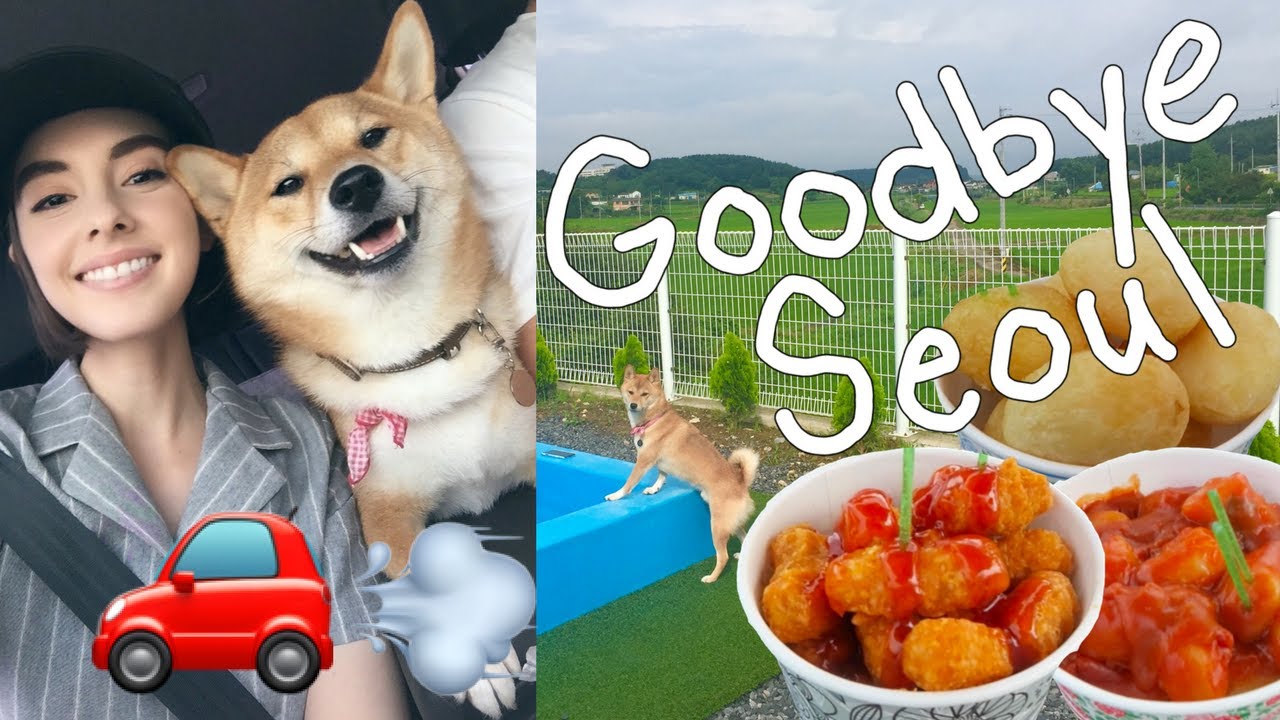 Vacation Time! |  Road Trip VLOG pt. 1