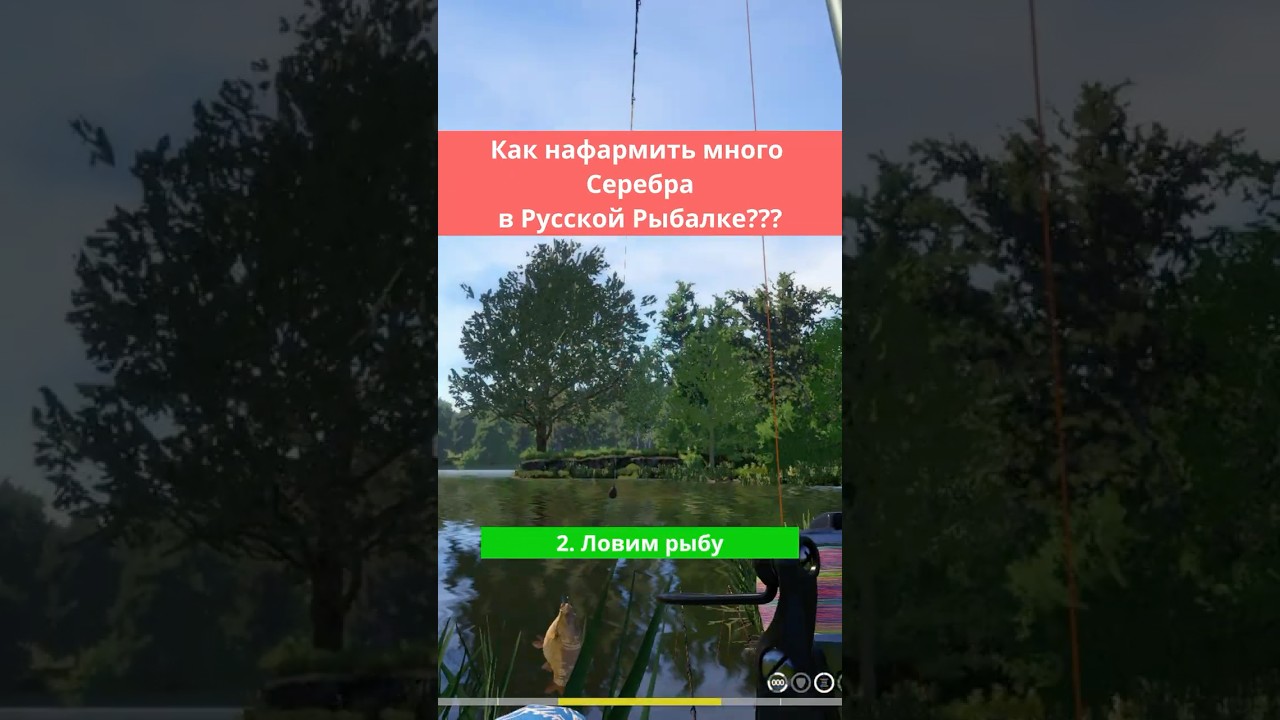 ЛУЧШИЙ ФАРМ В РР4 #русскаярыбалка4 #рр4 #mrxpert #russianfishing4 #rf4