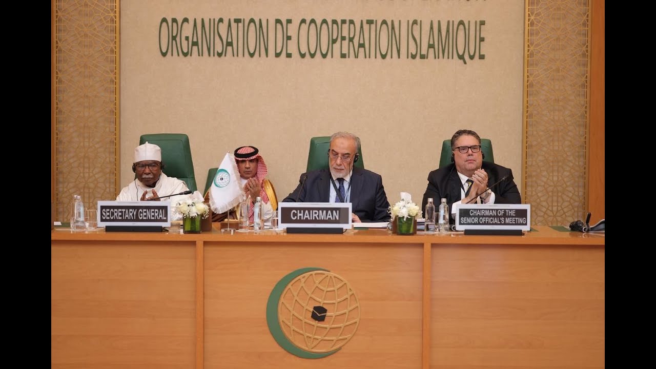 Extraordinary Session of Council of Foreign Ministers on the Situation in the Republic of Somalia
