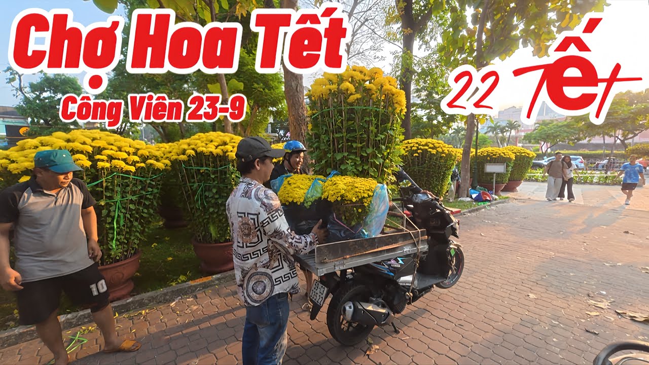 Tưng Bừng Chợ Hoa Tết Công Viên 23/9 Mai - Đào - Cúc … Nhộn Nhịp Người Qua Lại 