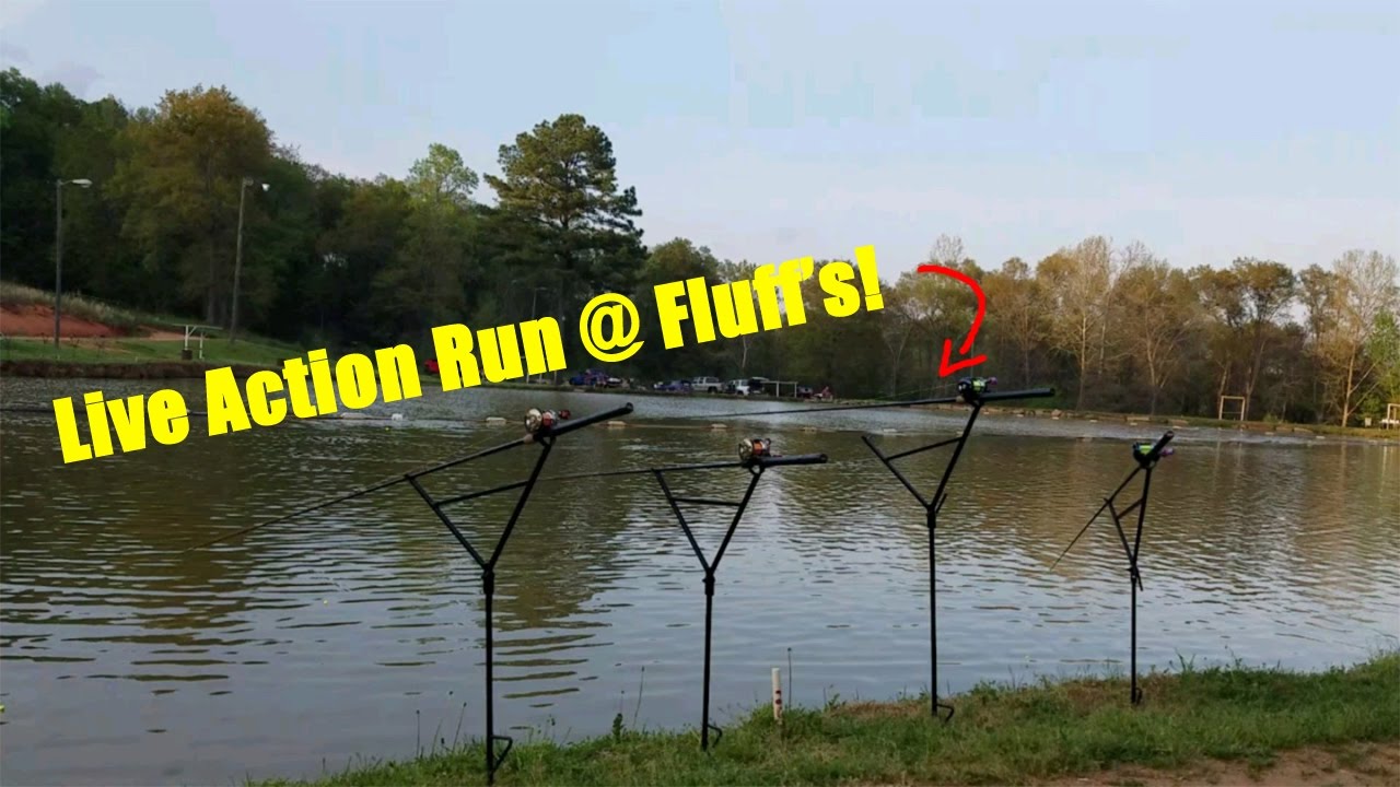 Epic Carp Run @ Friday Night Tournament at Fluf's