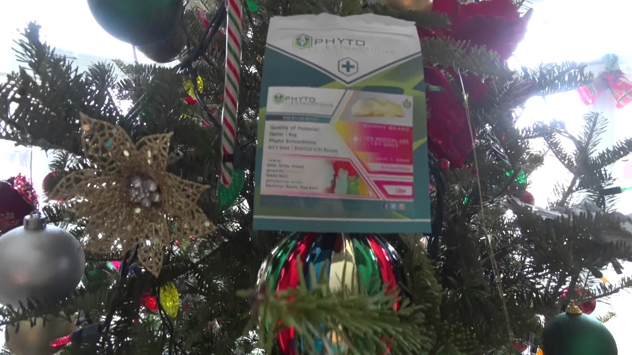 Phyto Extract Thors hammer glob dab