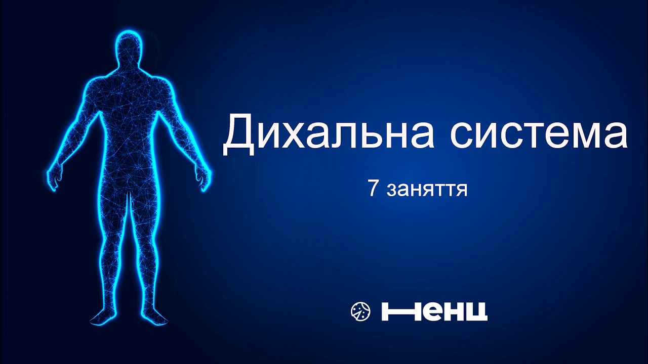 Дихальна система людини (1 частина).