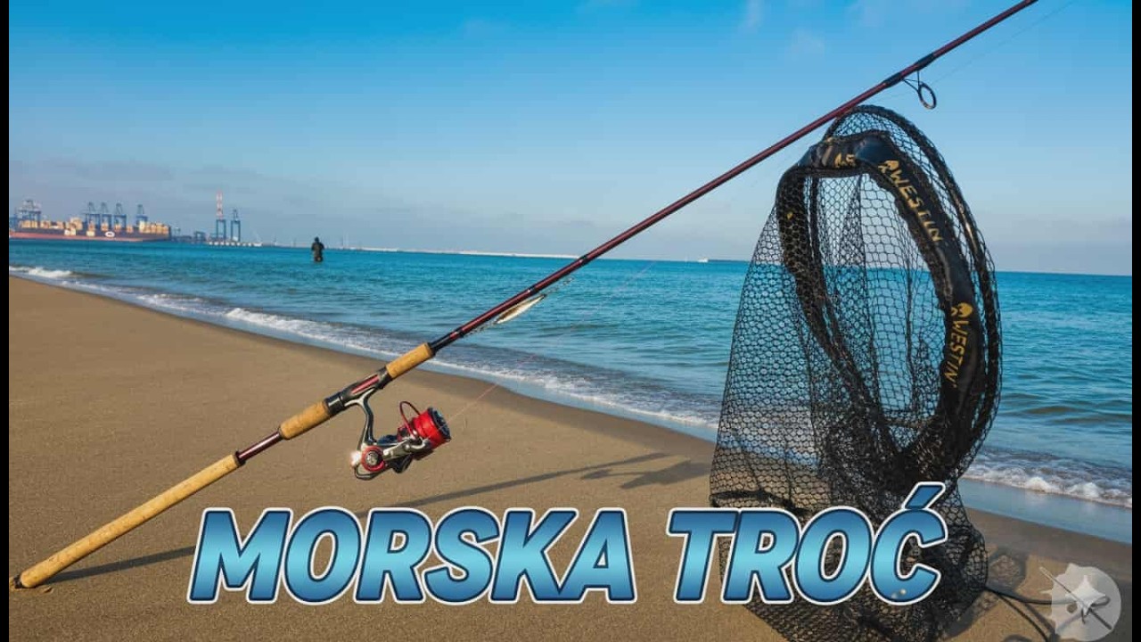 MORSKA TROĆ | G&Oacute;RKI ZACHODNIE &ndash; W poszukiwaniu srebra Bałtyku