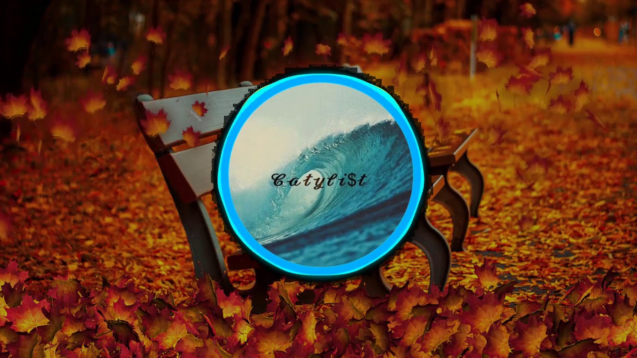 Catyli$t - Fallen Leaf