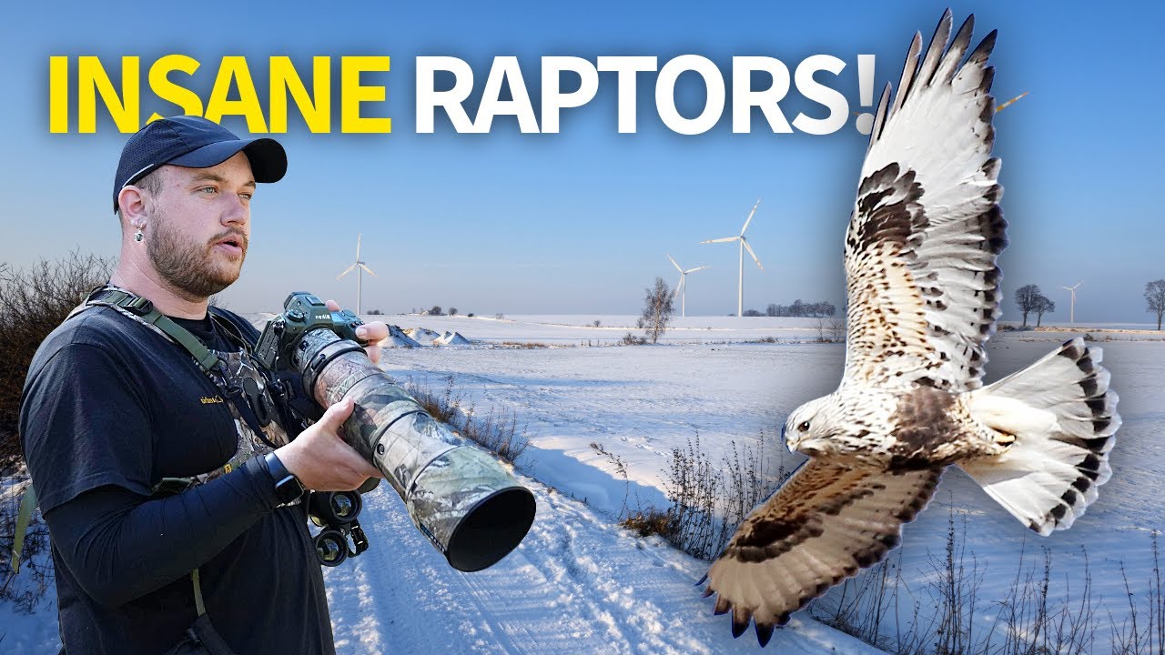 Birding for INCREDIBLE Raptors in Northern Utah