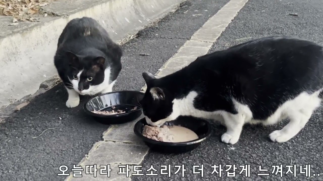 오늘따라 슬프다..
