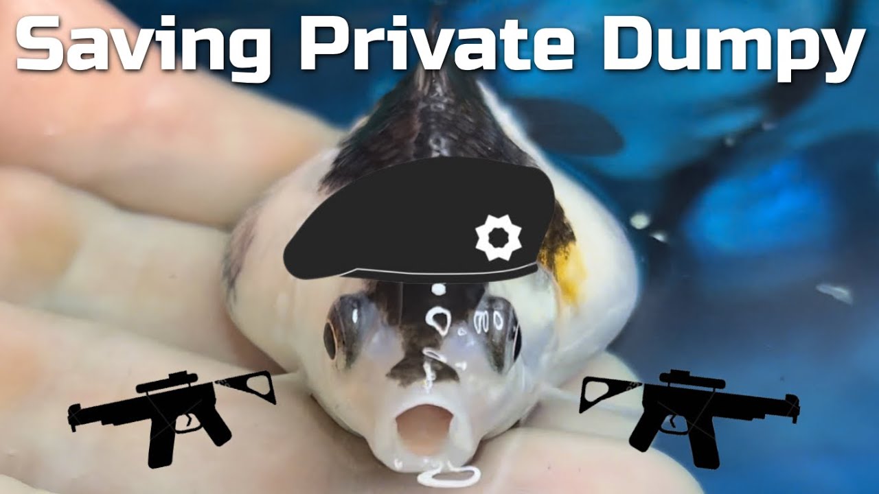Will Dumpy Die? (Unfortunately not Clickbait)