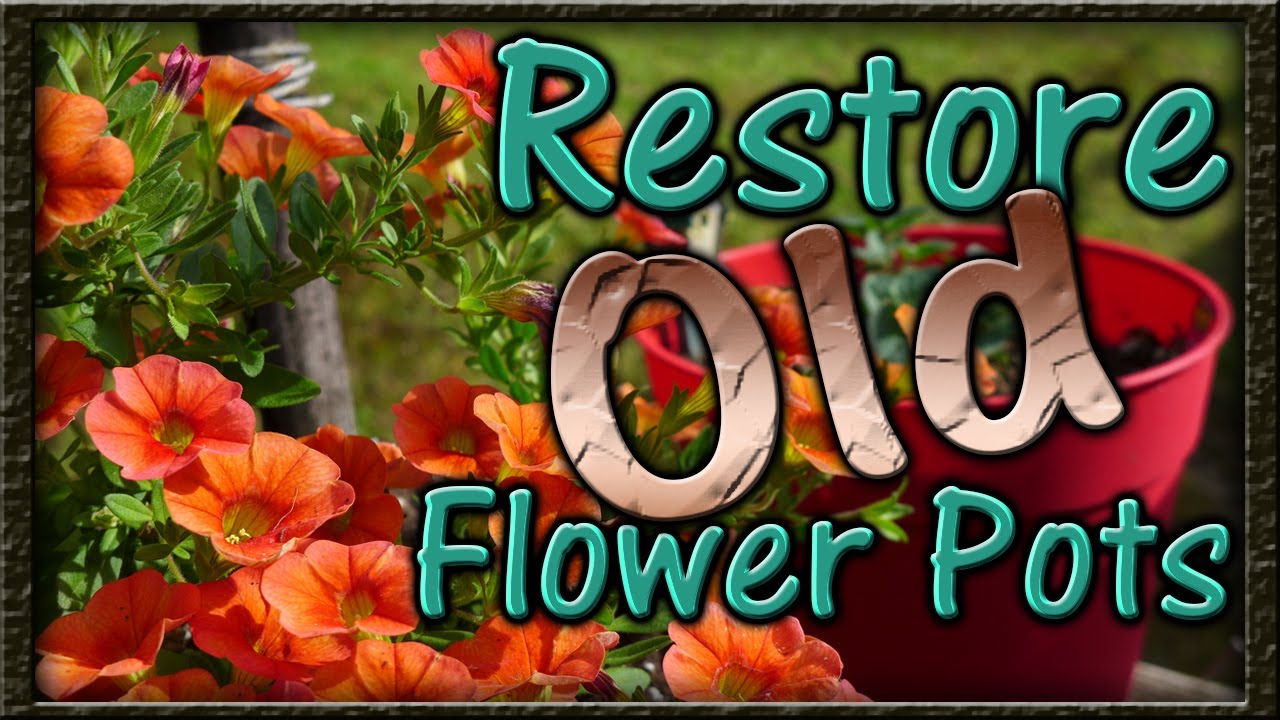 Restore Old Flower Pots - Easy