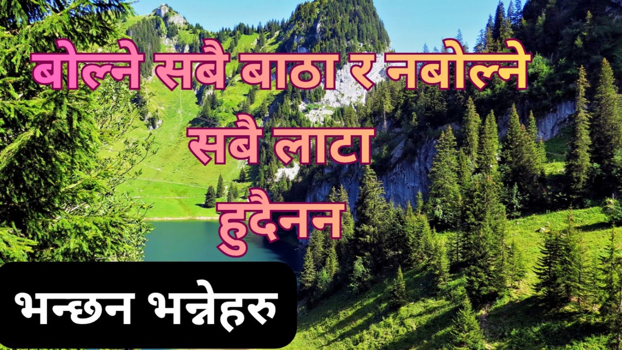 बोल्ने सबै बाठा र नबोल्ने सबै लाटा हुदैनन भन्छन साच्चै हो र 