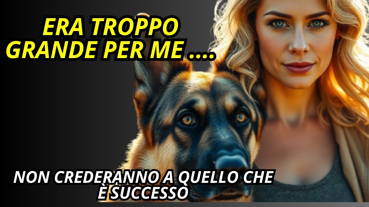 Vacanze al lago: riscoprire la vita e l'amore dopo la solitudine con il mio cane