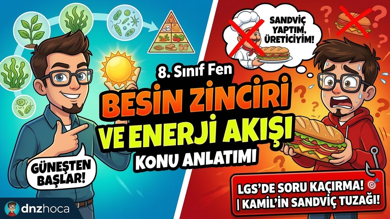 8. Sınıf Fen | BESİN ZİNCİRİ VE ENERJİ AKIŞI KONU ANLATIMI (LGS'de Soru Kaçırma! 🎯)