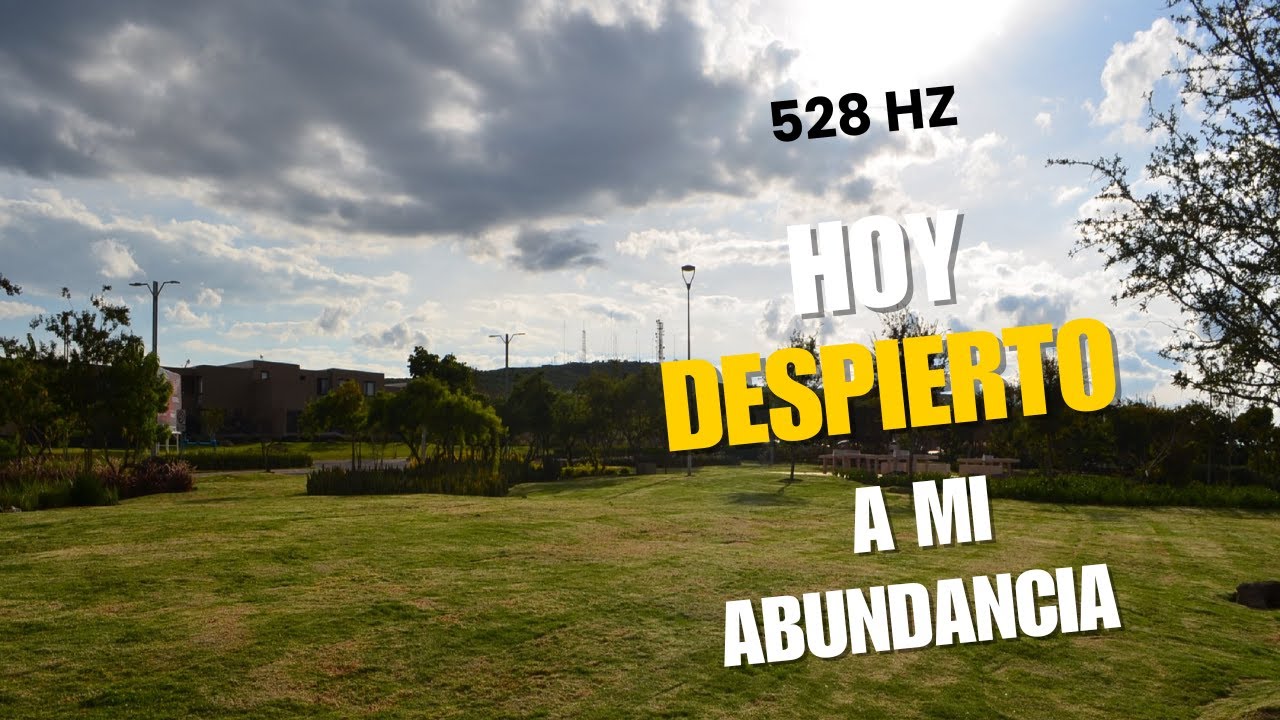 FRECUENCIA HOY DESPIERTO mi ABUNDANCIA
