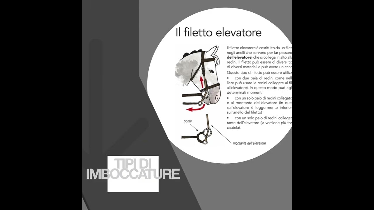 NEW BOOK Imboccature e Bit Fitting