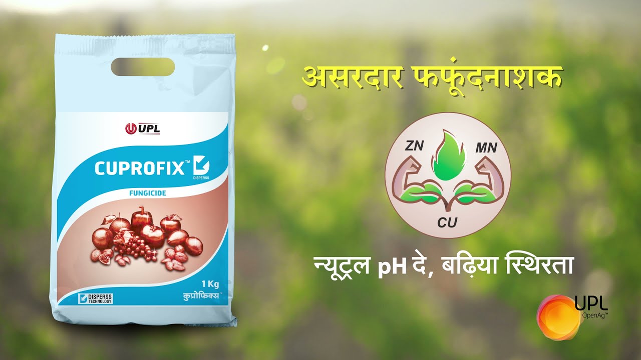 Cuprofix - Hindi