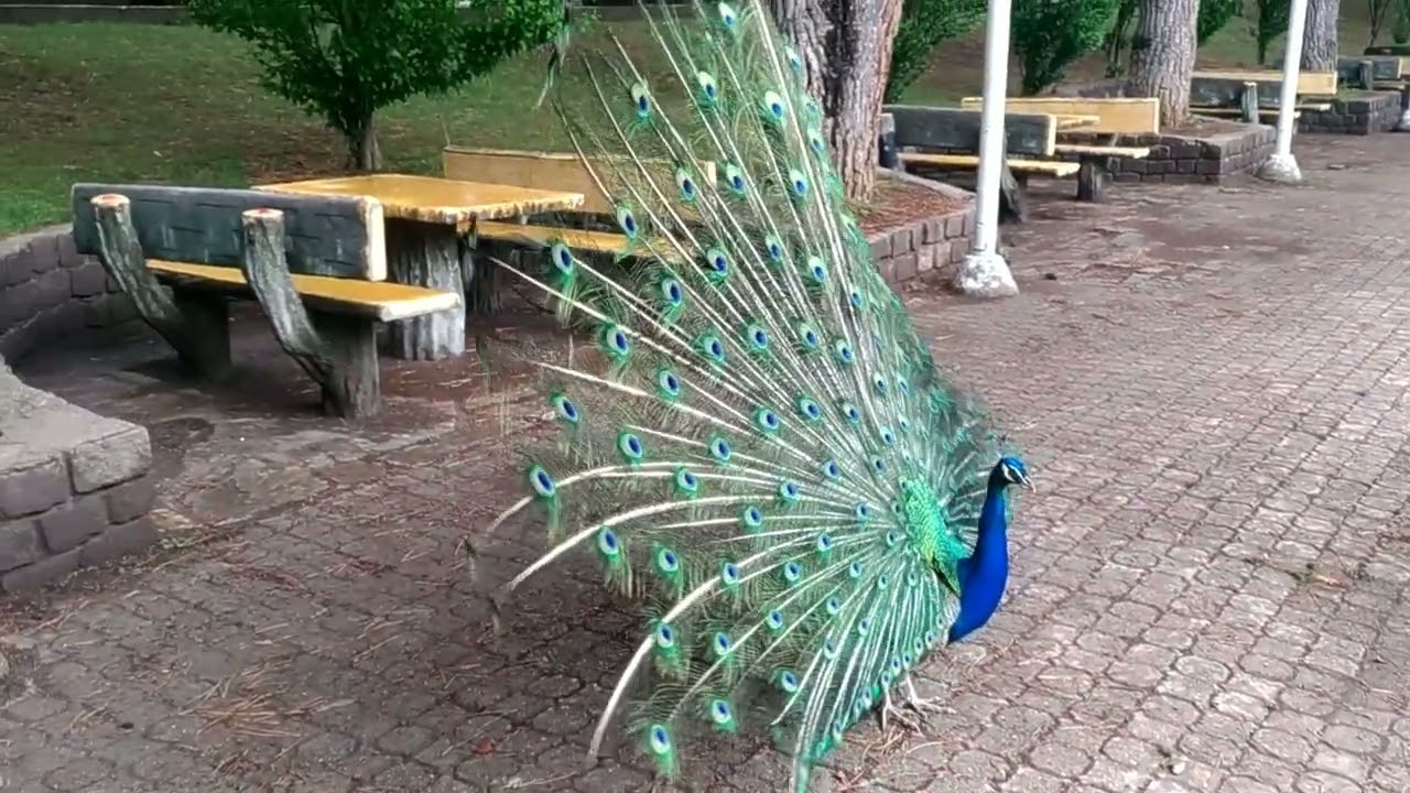 UŞAK-HUZUR PARK
