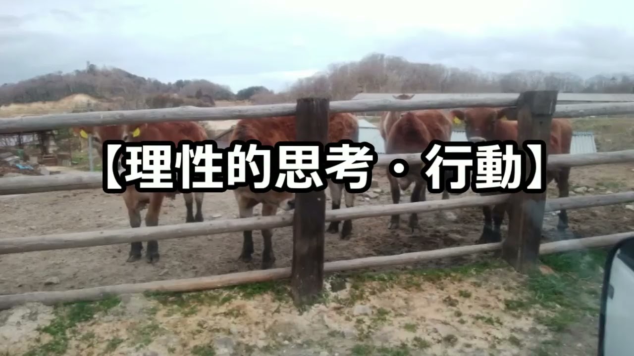 差別は、悪くも良くもない。