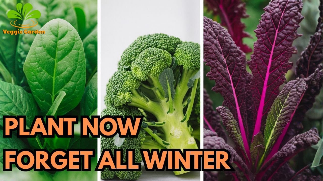 7 Easiest Vegetables to Plant in Fall &ndash; Just Plant and Forget All Winter!