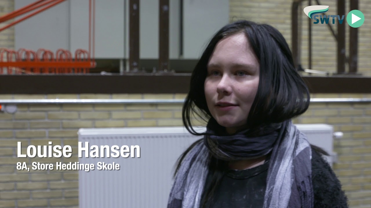 Skolevalg 2019 på Store Heddinge Skole