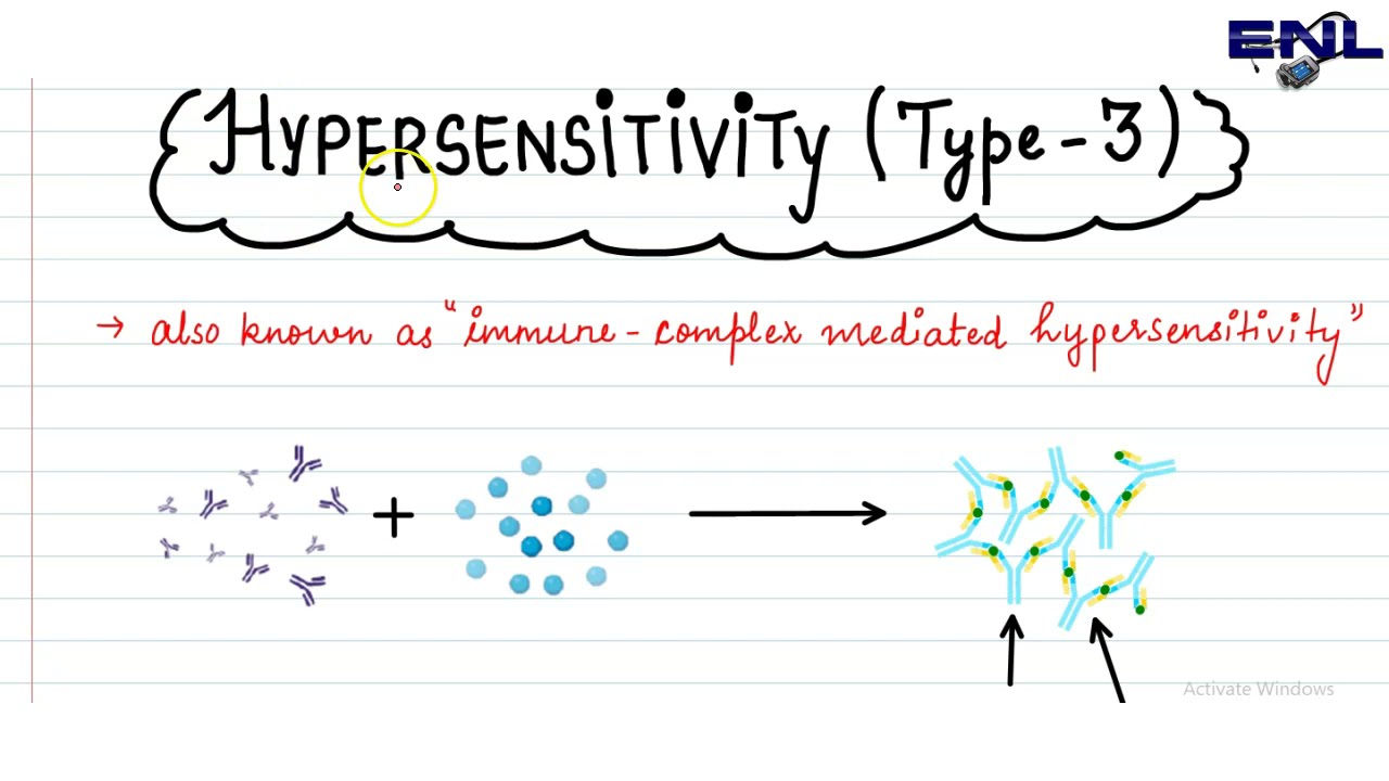 Type 3 Hypersensitivity Reaction || Microbiology