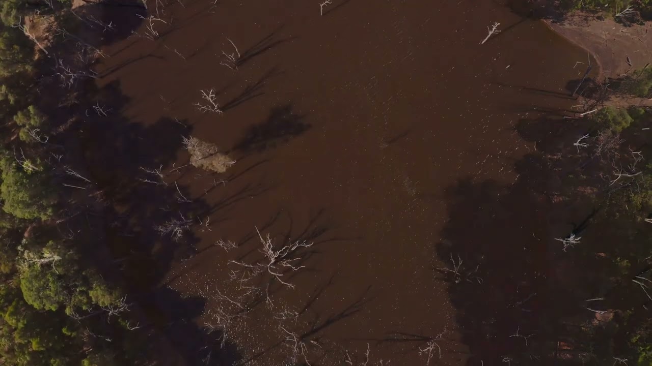 Harvey River Crossing