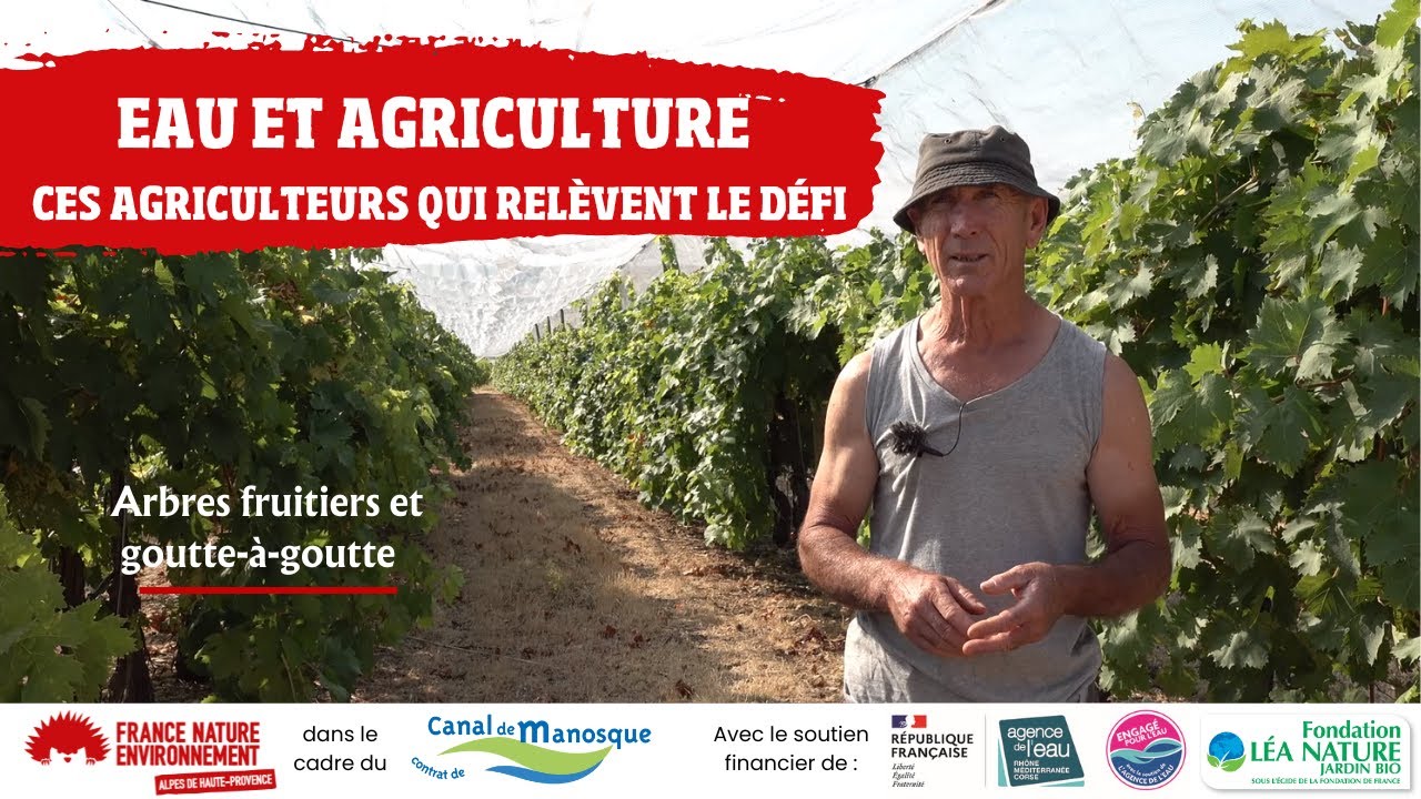 EAU ET AGRICULTURE - Ces agriculteurs qui relèvent le défi : Arbres fruitiers et goutte-à-goutte