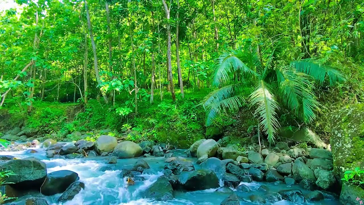 River Flowing Sounds 24/7 🌿 Nature Sounds - White Noise - for Deep Sleep and Relax