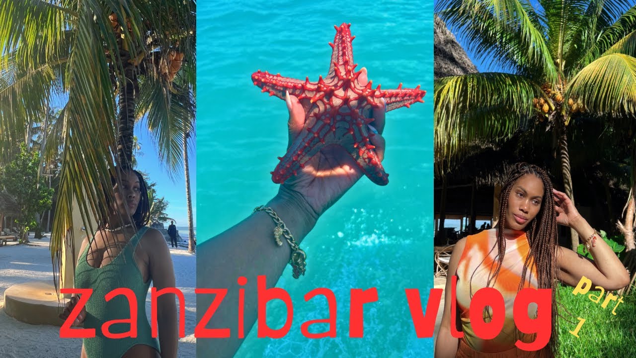 TRAVEL VLOG:  ZANZIBAR  Swimming with turtles  + The Rock Restaurant + Horse Riding + more [part 1]