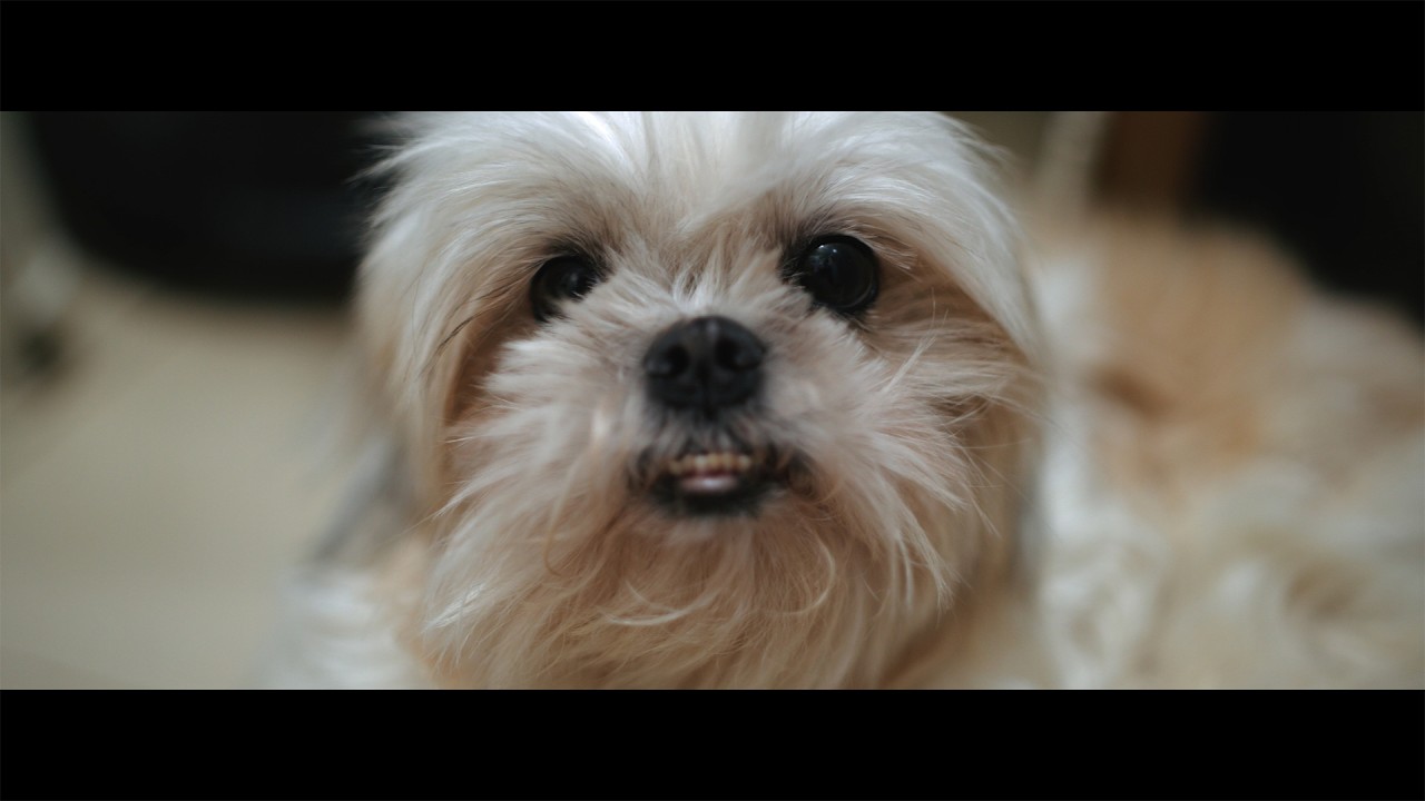 Canon 5D Mark III Magic Lantern 3:2 & 5.7K