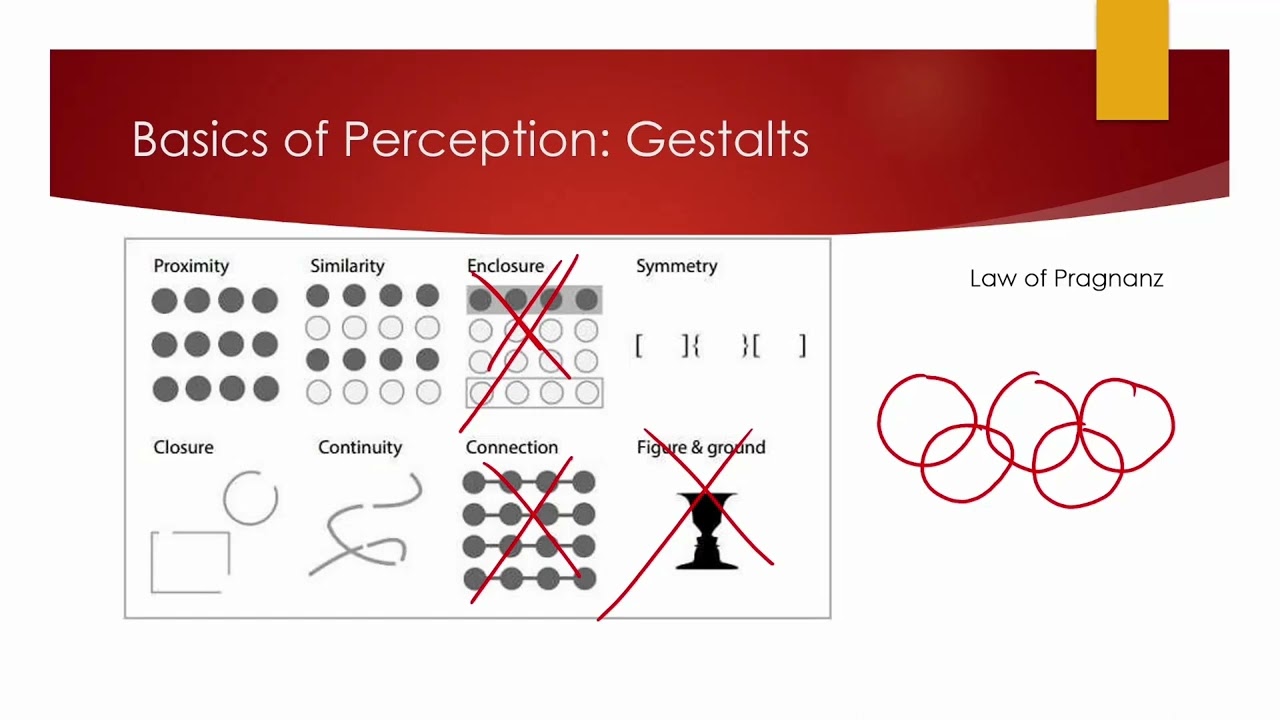 Road to Success MCAT Test Prep: Psychology: Sensory Perception
