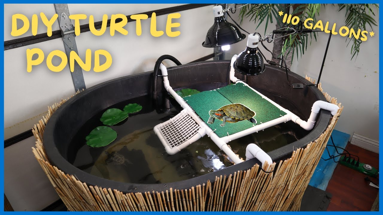 Setting Up 110 Gallon Indoor Turtle Pond! *DIY*