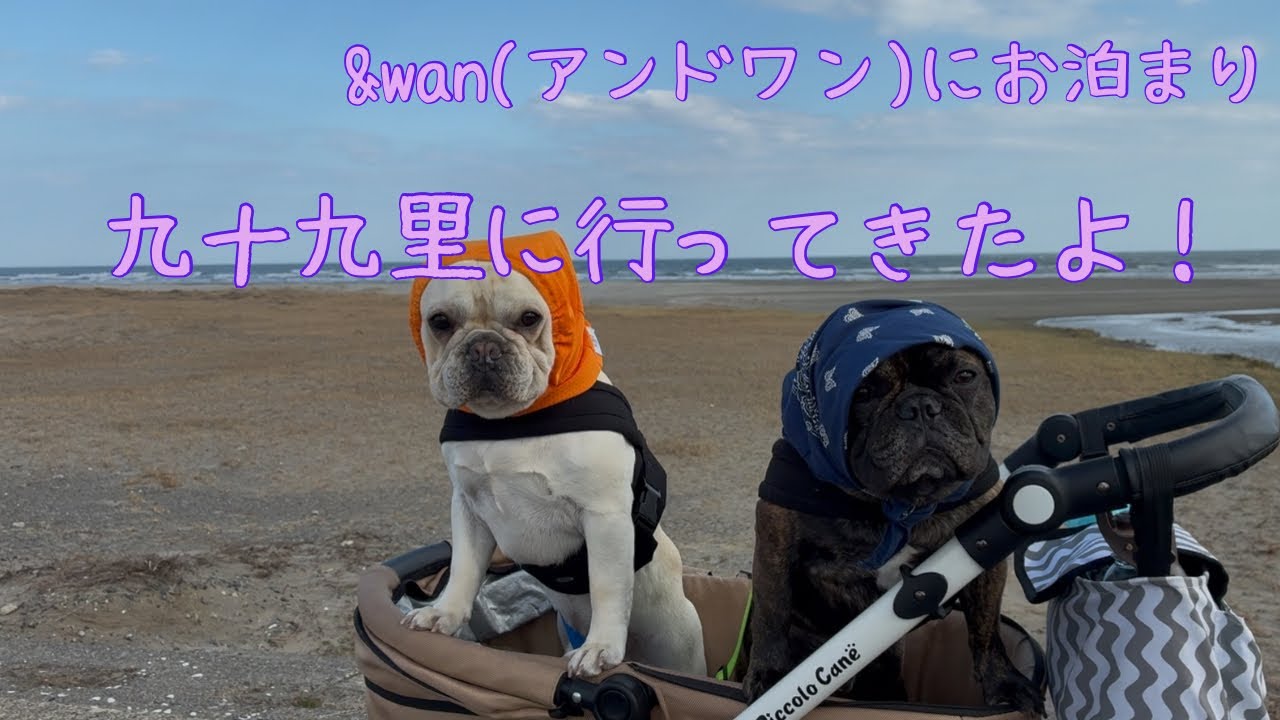 九十九里に行ってきたよ！　&wanにお泊まり