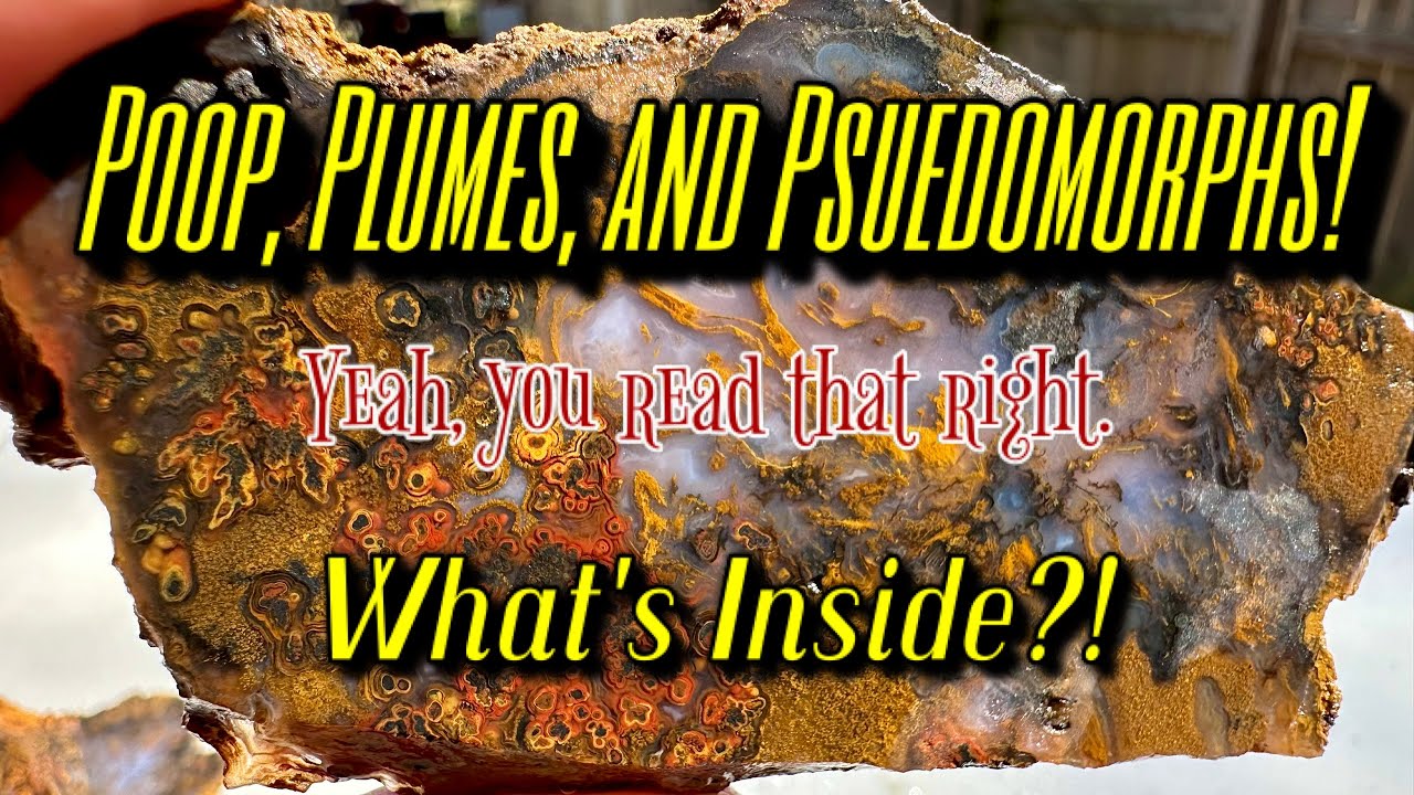Cutting agatey things from Texas, Utah, & Montana...