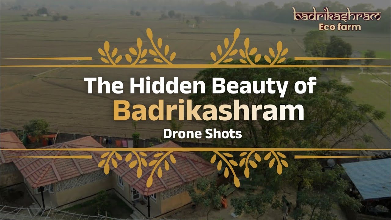 The Hidden Beauty of Badrikashram | Drone Shots
