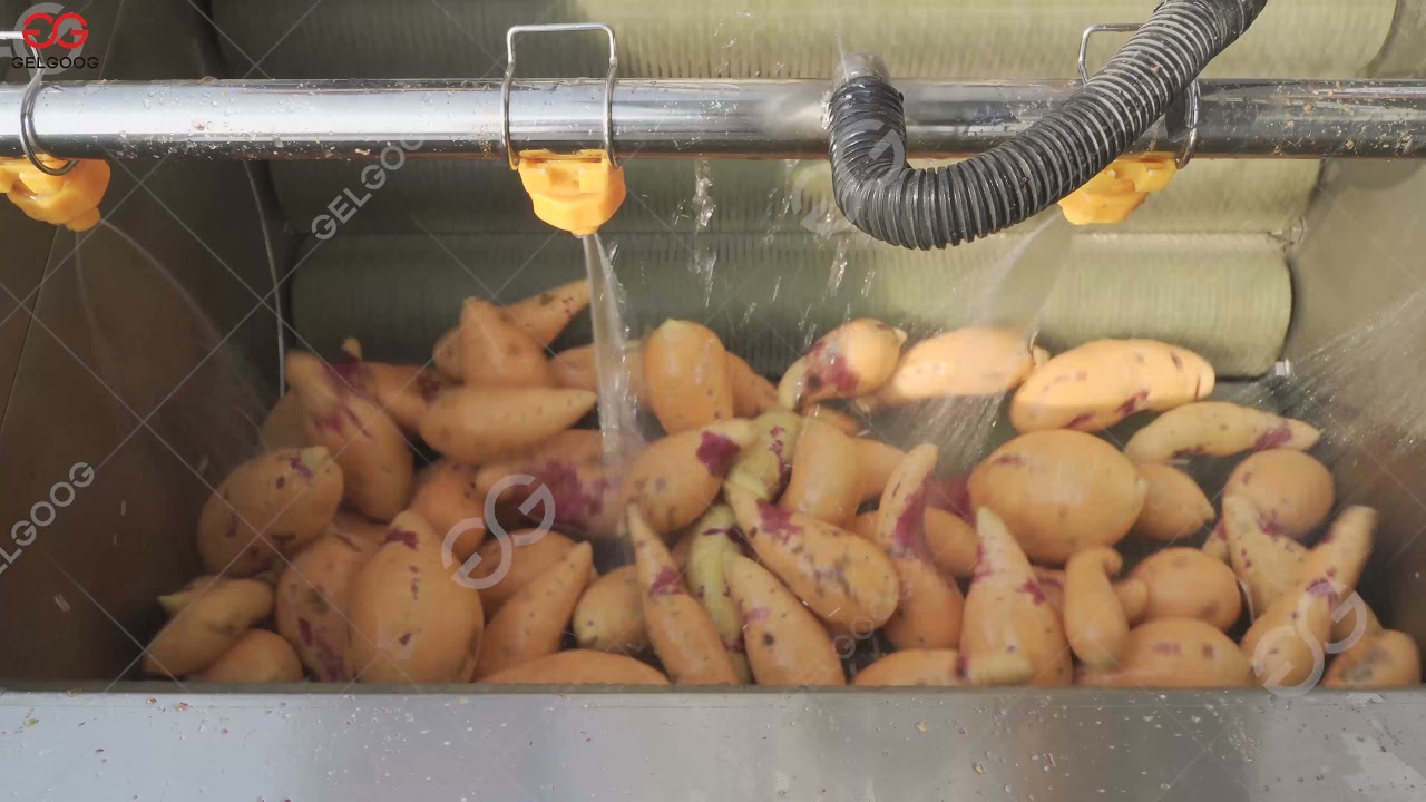 Cassava Washing Peeling Machine Operation Video