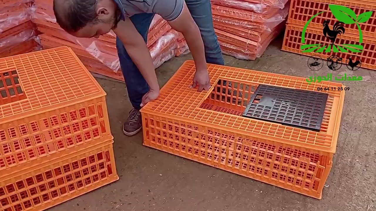 صندوق نقل الدواجن جودة عالية 0664112509