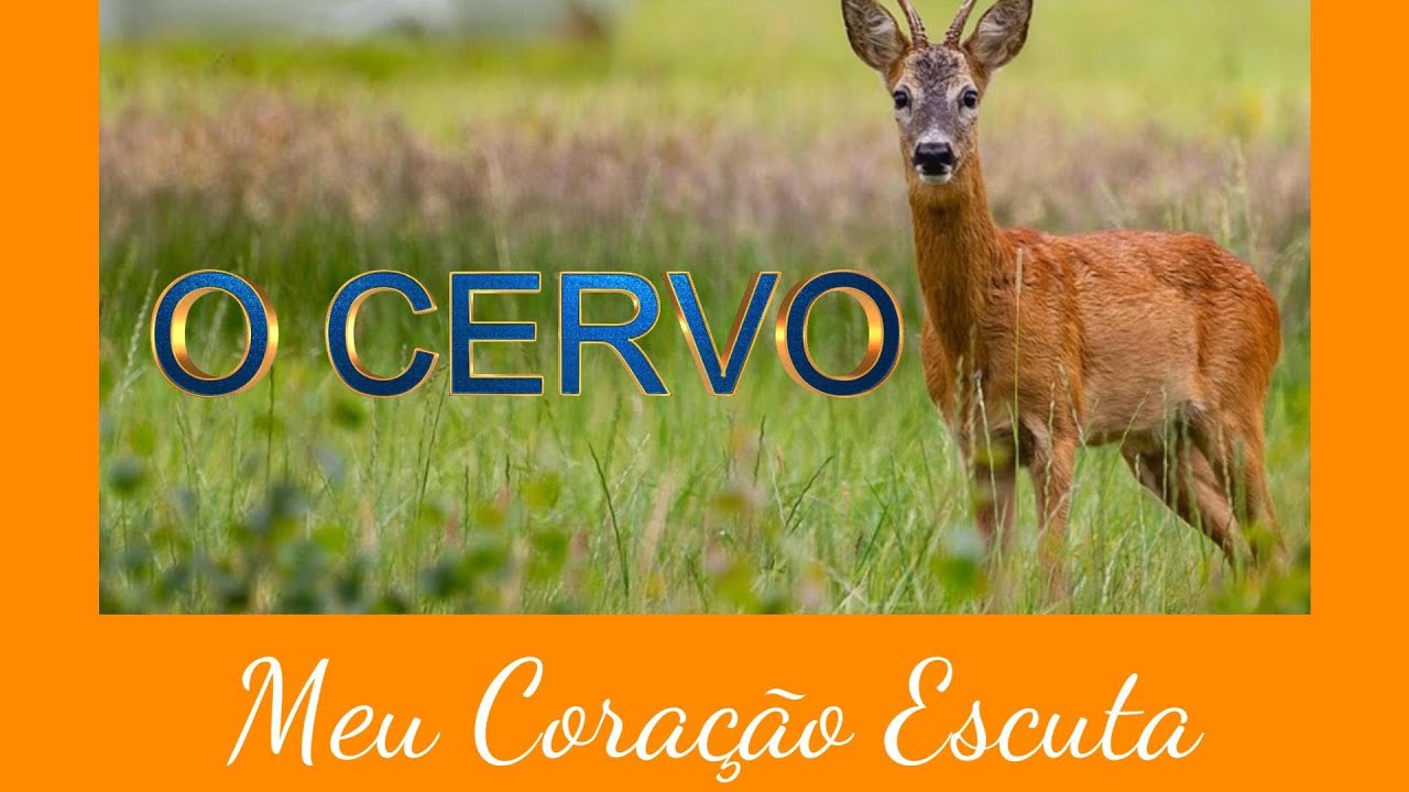 MEU CORAÇÃO ESCUTA 