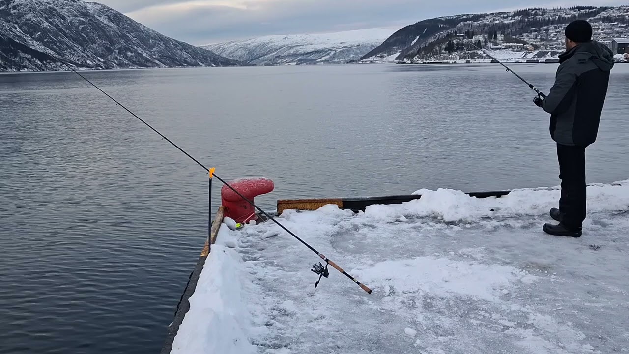 22 января 2026 г .Mosjoen