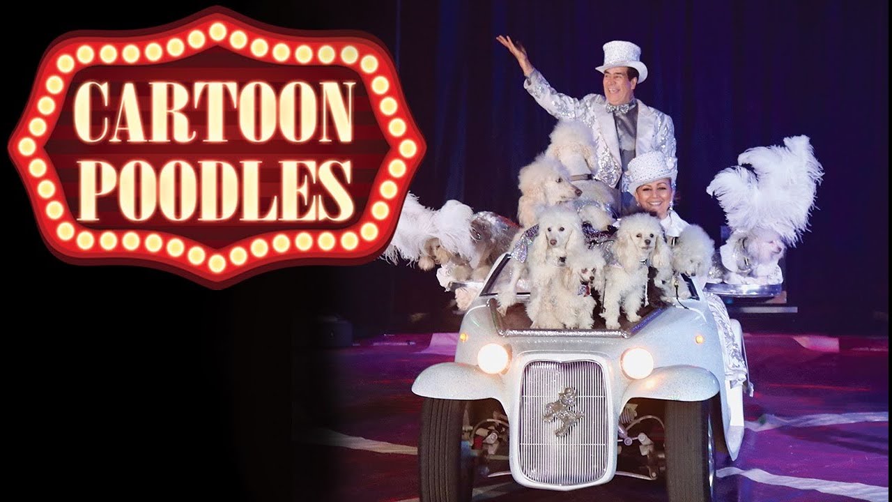 Cartoon Poodles 2020