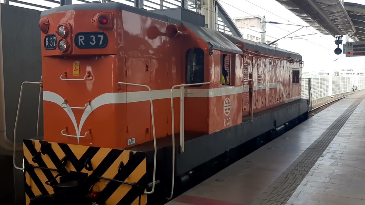 稀有品種！R37柴電機車，厚重引擎聲