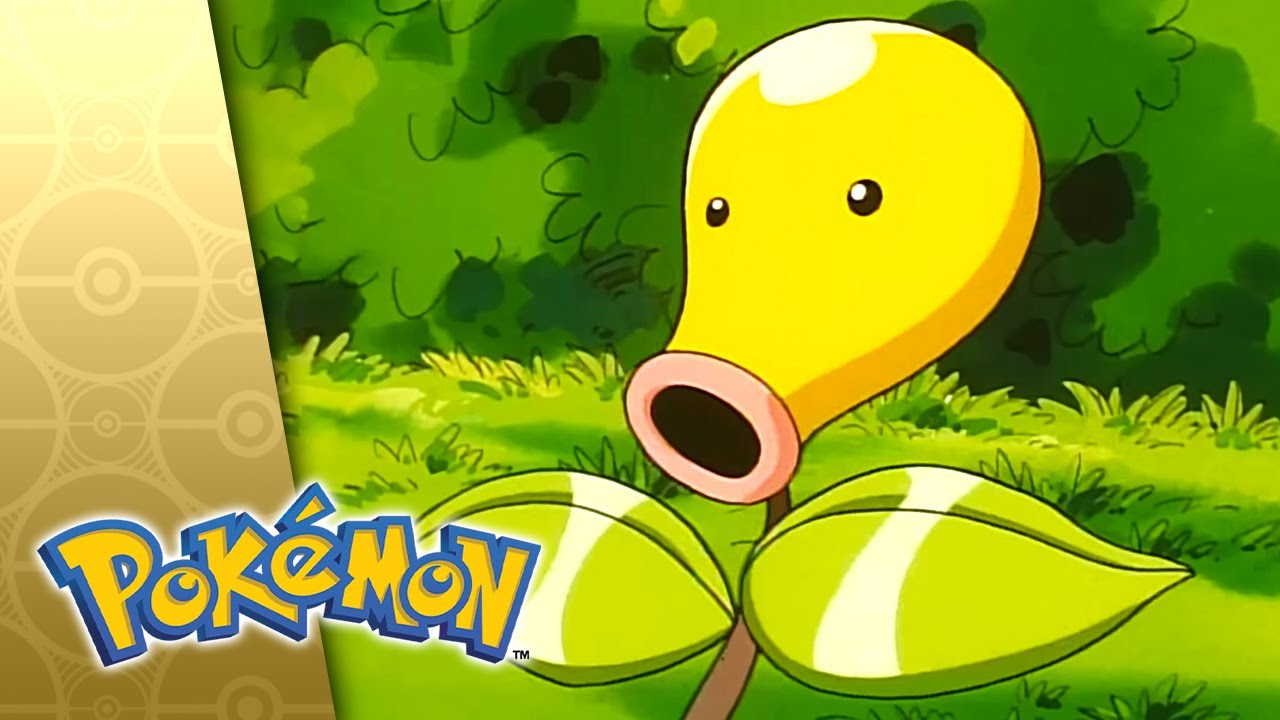 A Bout With Sprout! | POKÉMON FULL EPISODE 14 | Season 3