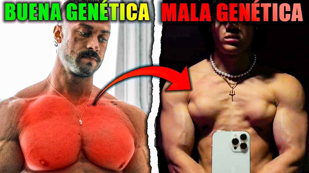 CÓMO Saber Si TENGO BUENA GENÉTICA DE PECTORAL? 🤯 El Análisis