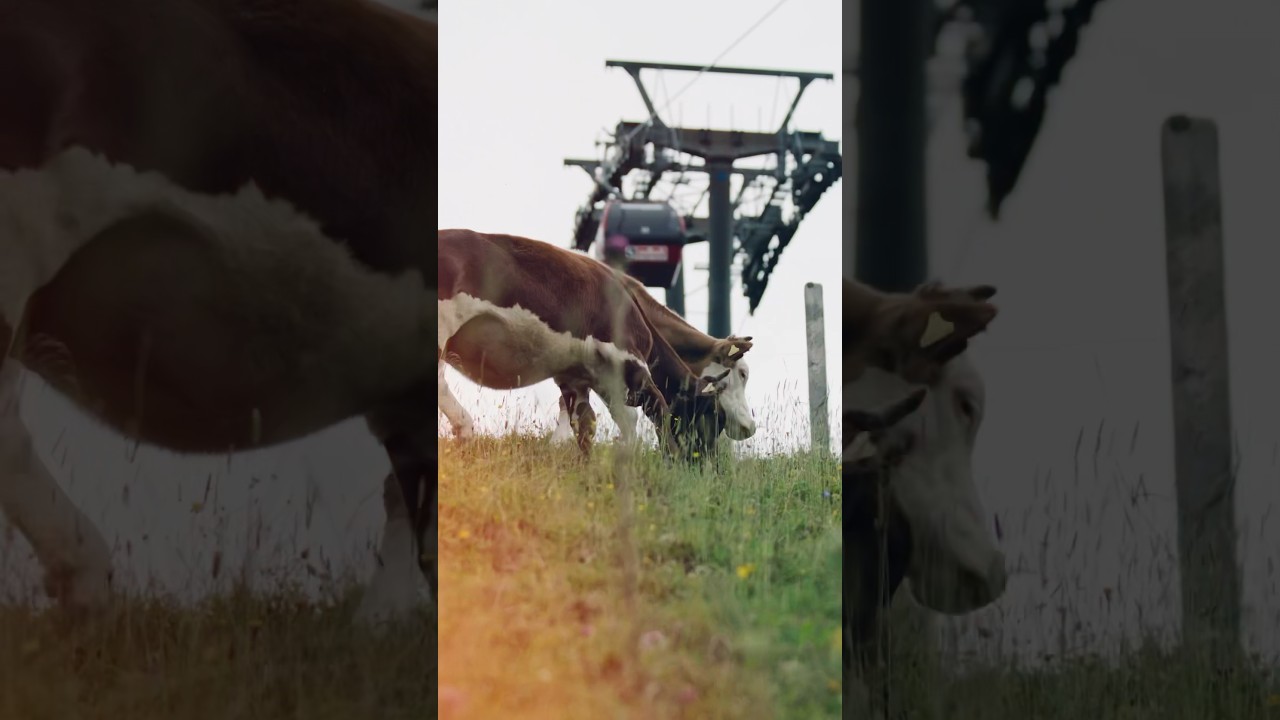 Teaser: new Saalbach episode ❤️‍🔥 