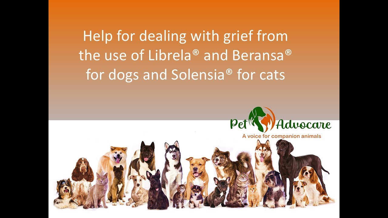Help for dealing with grief from the use of Librela® and Beransa® for dogs and Solensia® for cats