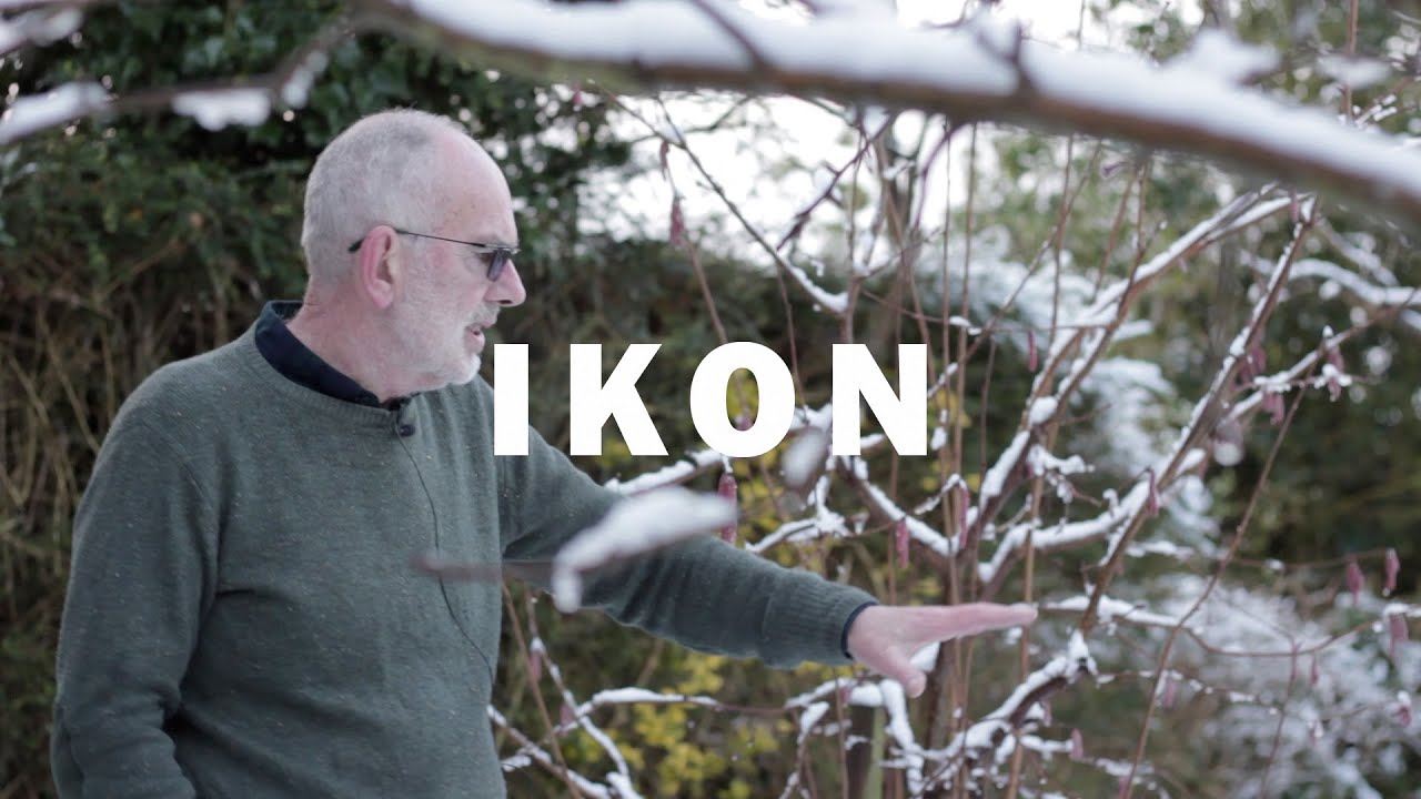 John Newling: Dear Nature | Ikon Gallery