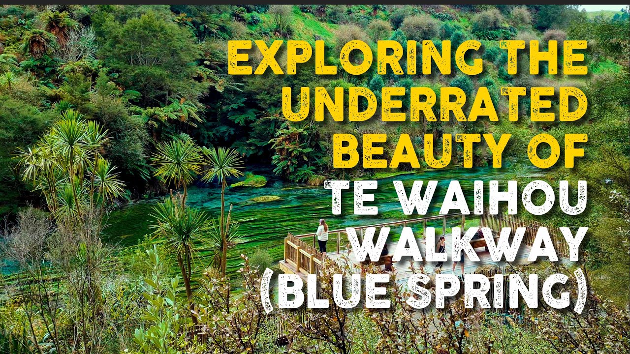🇳🇿 How blue is the BLUE SPRING in PUTARURU (Te Waihou Walkway)?