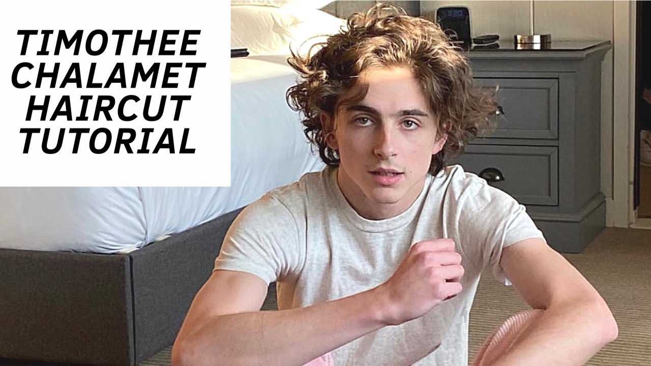 Timothee Chalamet Haircut Tutorial - TheSalonGuy