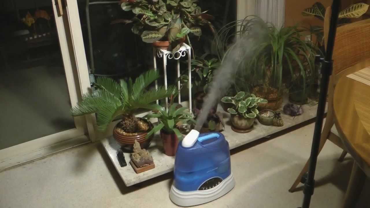 Air-O-Swiss Humidifier Demo