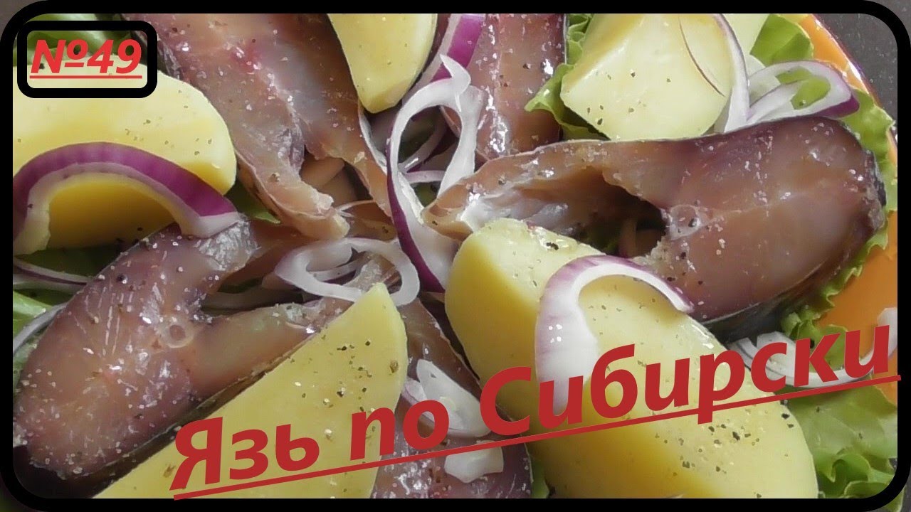 Язь по Сибирски. Выпуск №49.