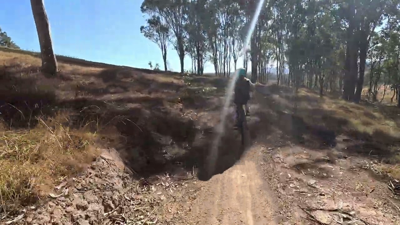 Dungog MTB green flow kids